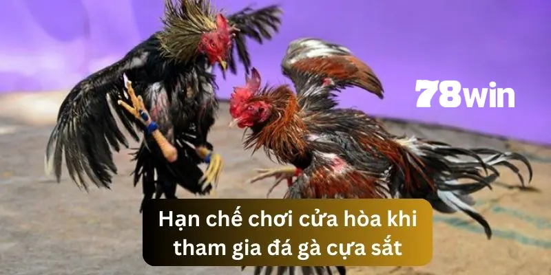Tránh đặt cược vào cửa hòa khi chưa chắc chắn