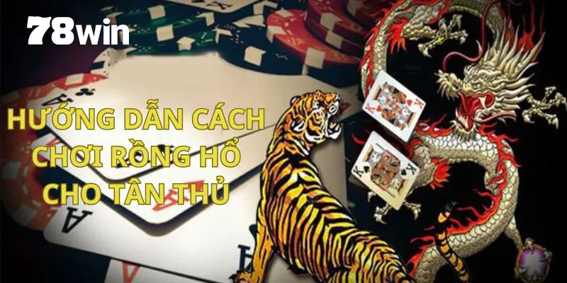 Khám phá cách chơi Rồng Hổ cho người mới